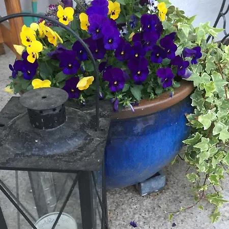 Daire Haus Andrea Meersburg