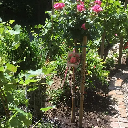 Appartamento Haus Andrea Meersburg