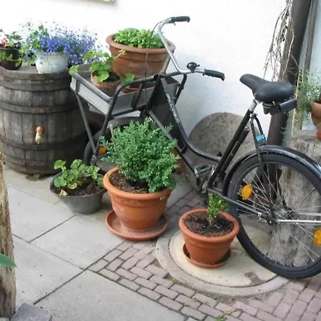 Haus Andrea Appartement *